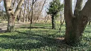 Евпатория 2023. Скейт-парк на Мойнаках.