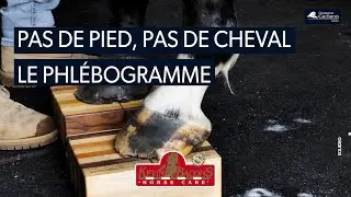 Pas de pied, pas de cheval !