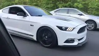 2016 GT 5.0 Slammed 70-Pull