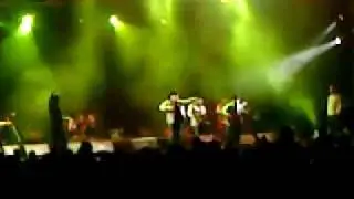 la perra parida en vivo