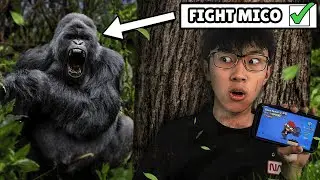 I FOUGHT 8 BRAWLERS In REAL LIFE...