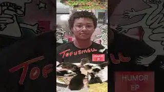 You can now enjoy tofusmell’s Humor EP wherever you stream! #hardlyart #tofusmell #indiefolk