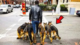 He Walks His Dogs Every Day, But Is Hiding An Incredible Secret!