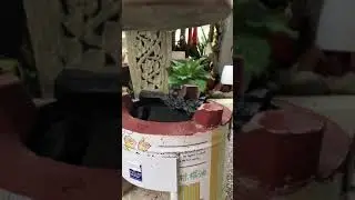 怡保雞絲河粉