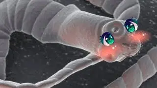 Мотивация