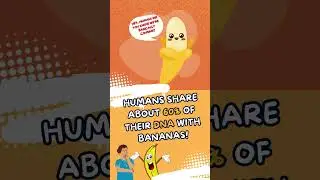 Brain tickling Facts, Laughing Rats, and More! 🍌😂 