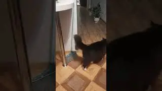 нервотреп Боня