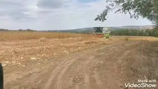 Soybeans. Vrša Soje Gorštak & Claas Avero 240 aps..