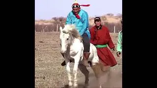 Адуучин залуу