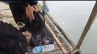 Pesta Strike Dilapak Yang Sedang Viral 