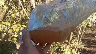 Дизель Экто от Лукоил