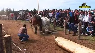 Štraparijada Ravna Romanija 2013 !