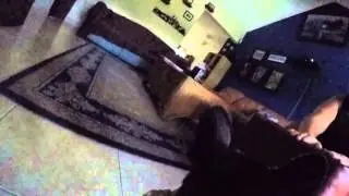 My dog chasing the bone