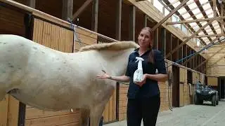 Кондиционер для лошадей с индийским маслом Ним. Приучение лошади к пшикалке. НатураХорс Real Life