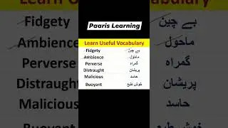Learn English Vocabulary! 