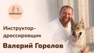 Развиваем интеллект собаки. Валерий Горелов