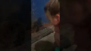 Ёжик пришёл в гости #ЯжеВика