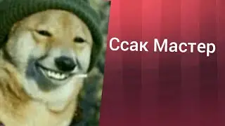 Кто такой Ссак Мастер, токсик и позорище Ютуба.