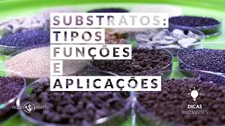 Aquário Plantado -  Substratos: Tipos, Funções e Aplicações - Dicas - Iniciantes