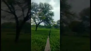 jamidar ka chora