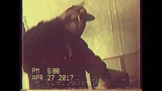 الفيلسوف - Free style  فؤاد القريتلي.