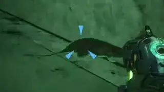 Halo Reach Rat :)