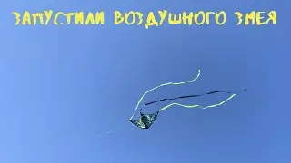 Запустили воздушного змея