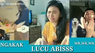 vidio lucu, ngakak, komedi