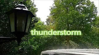September. Autumn is approaching. Rain, hail, thunderstorm. Plants are very wet.