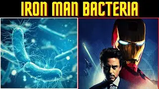 IRON MAN BACTERIA |New Discovery-2021||Geobacter bacterium| English| VIGNESH