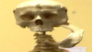 Memes That End Unexpected 7