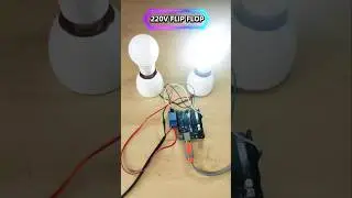 220V Flip Flop Dancing Light