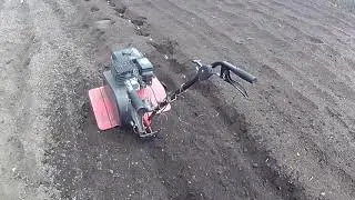 Простой способ посадки  картошки