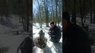 Научный руководитель меня обманул! 