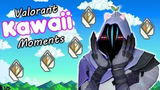 🌱 ~ Valorant Kawaii Moments ~