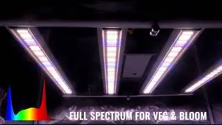 200W LED Grow Light II Waterproof LED Light ll Full Spectrum Light ll Greenhouse Grow  ll TheOneGrow