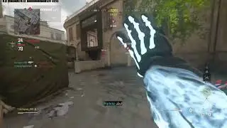 xd