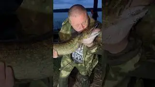 Есть Трофей👍! Вуокса порадовала! #fishing #shorts #щука #судак #отдых