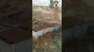 Слёт Микронуклеуса 🤭