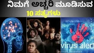 ☠️ ಪ್ರಪಂಚದ ಮೊದಲನೆಯ Computer Virus ಎಲ್ಲಿ ಸೃಷ್ಟಿ ಆಯಿತು ಗೊತ್ತಾ?|| TOP 10 INTERESTING FACTS IN ಕನ್ನಡ||
