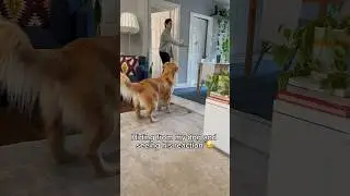 Can’t believe he didn’t see him all those times 😂 