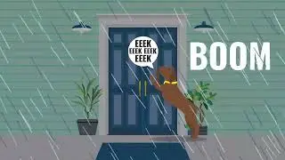 Keep your mate safe when he’s scared