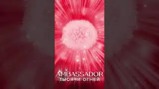MACHETE – тысячи огней (AMBASSADOR)