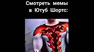 Где смотреть мемы?