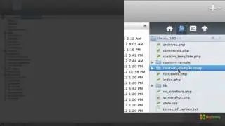 Changing File Permissions with Thesis for WordPress Multisite