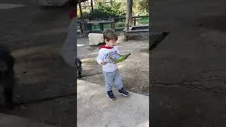 Давид с картой. Ган Гуру. 30.1.23
