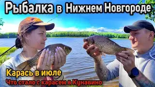 Рыбалка на карася. Крупный карась в июле. Как и на что ловить карася летом. Ловля карася на фидер
