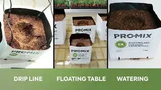 The New PRO-MIX CX Grow Bag