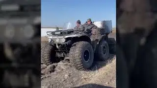 Охота на гуся в Оренбуржье