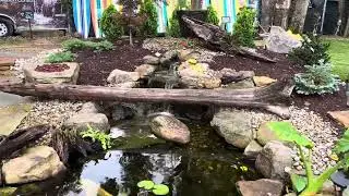 What does it cost to have a Koi pond professionally installed? @JVISecretGardens
